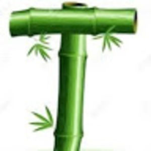 Meet your Posher, Thomas